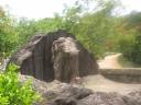 Elephant at Dhauli.